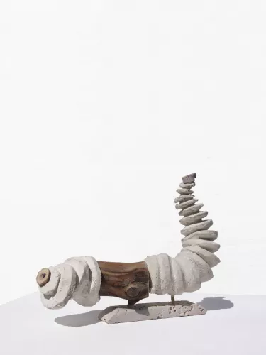 3Holzwurm.jpg
