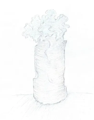 arbres imabinaire_Skizze2.jpg