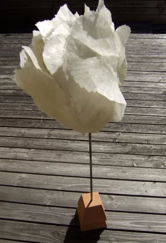 lichtblume_1.jpg